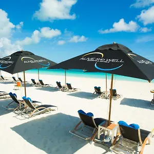 Resort Kokomo Botanical - Caribbean Family, Turtle Cove